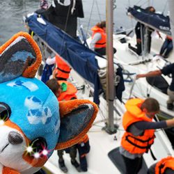 eoa war bei der Segelfreizeit mit den NICIdoos Flashies von NICI vor Ort